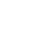 Netzwerk